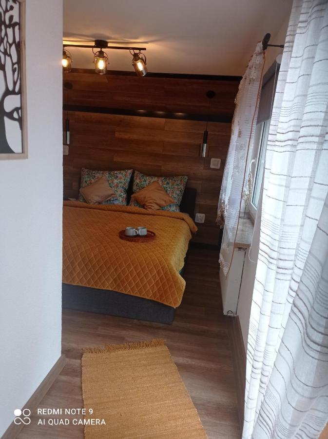 Sowianka Apartment Ludwikowice Kłodzkie