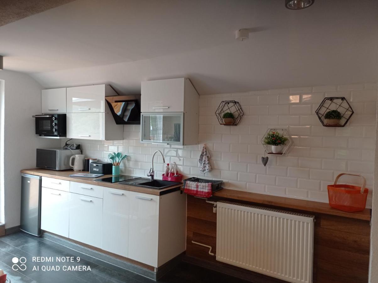 Apartment Sowianka Ludwikowice Kłodzkie