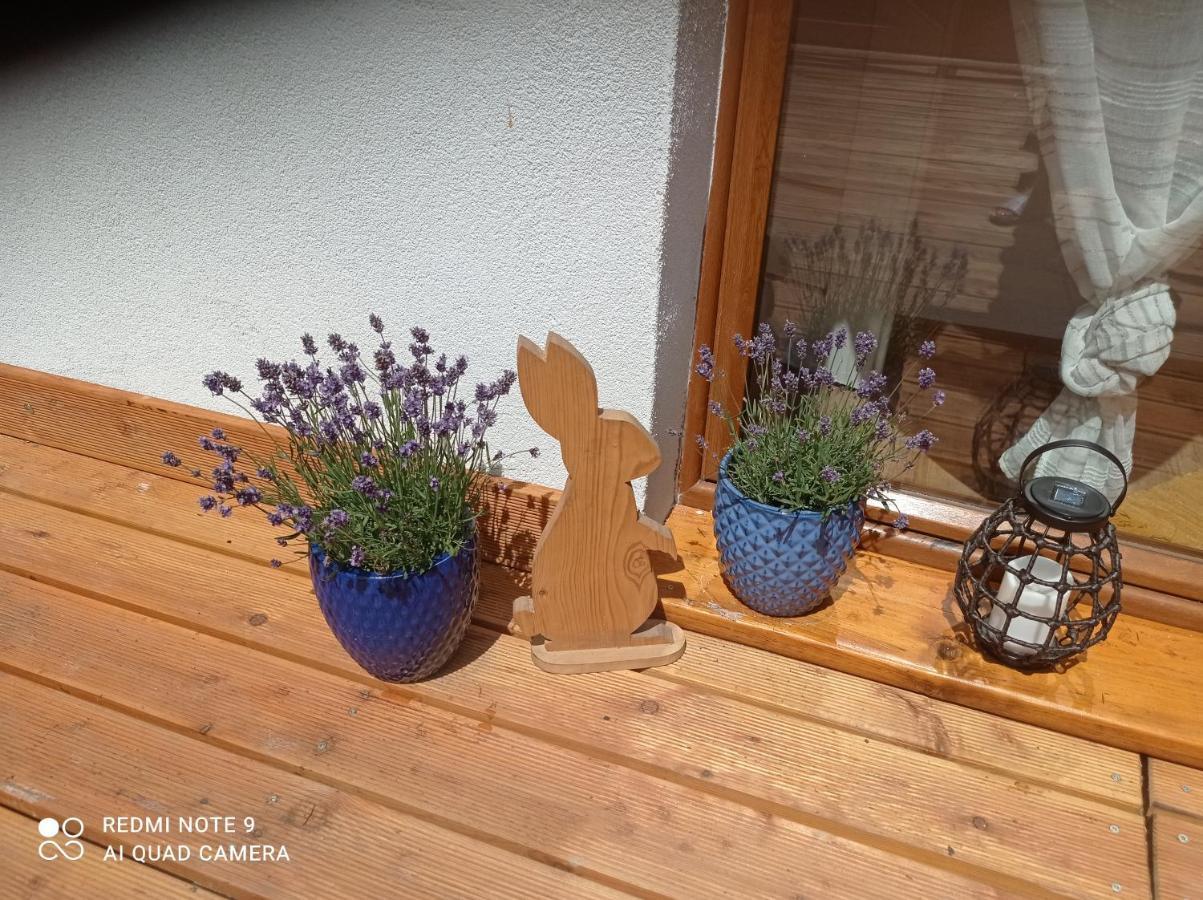 Apartment Sowianka Ludwikowice Kłodzkie
