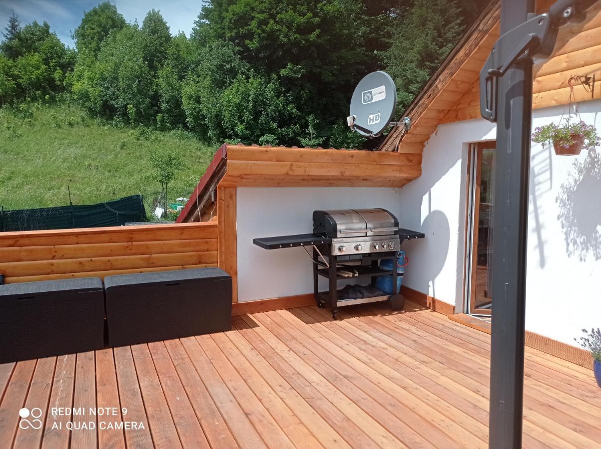 Sowianka Apartment Ludwikowice Kłodzkie